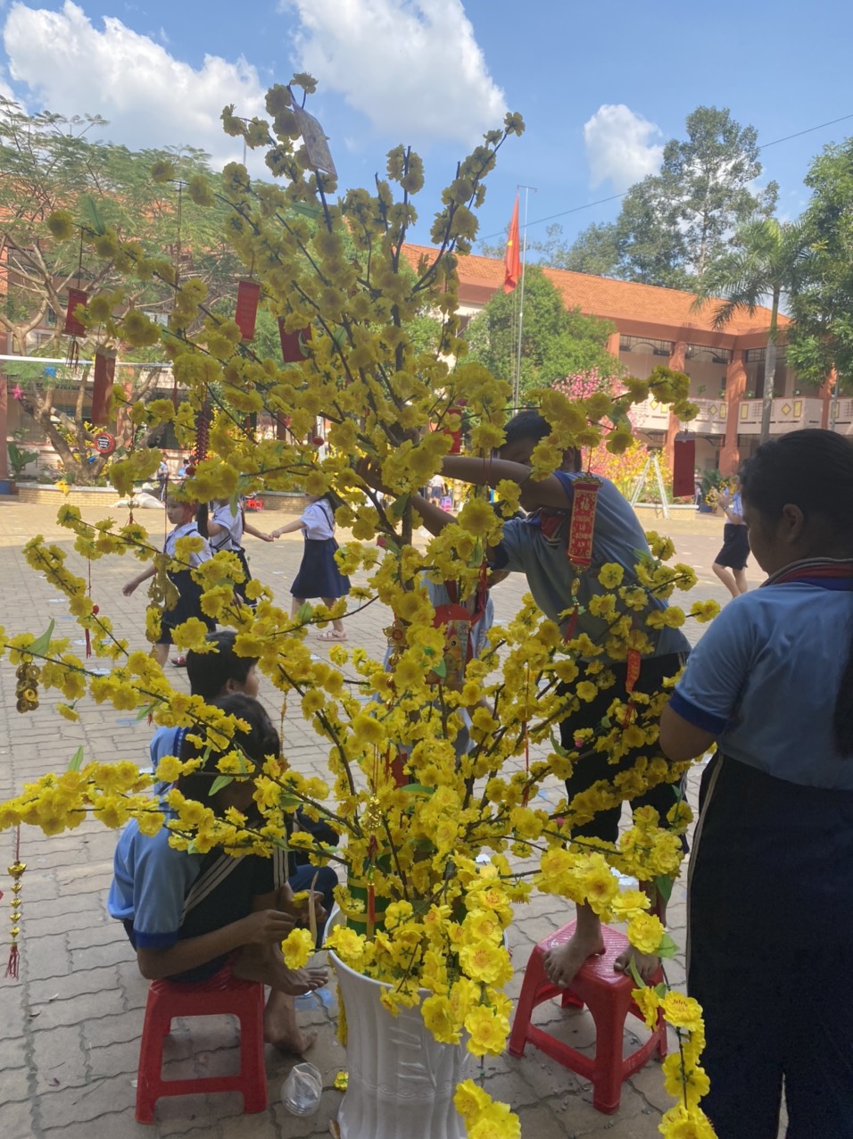 Cây mai là loại cây không thể thiếu trong ngày Tết của người dân Việt Nam. Vào năm 2024, các gia đình sẽ trang trí những cây mai với những chiếc bao lì xì và các hoa đào đỏ trắng, tạo nên một cảnh quan rực rỡ và đẹp mắt. Nếu bạn muốn tìm hiểu về cách trang trí cây mai ngày Tết 2024, hãy xem hình ảnh từ chúng tôi.